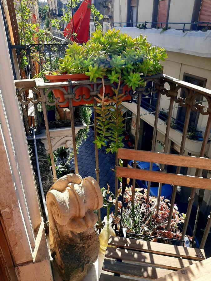 Appartement Bellini