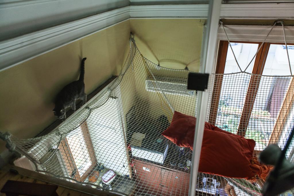 Appartement Bellini *